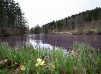 ''Dinosaurier des Jahres'': Nabu vergibt Umwelt-Negativpreis an Unions-Argrarminister