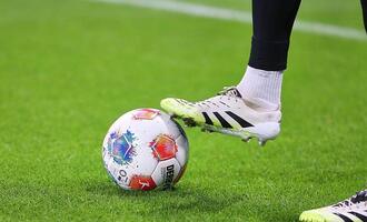 Hecking beklagt politische Instrumentalisierung des Fußballs