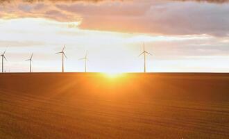 DWD: Dezember war außergewöhnlich sonnig und zu trocken