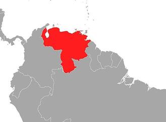 Bundesregierung hofft auf ''demokratische Transition'' in Venezuela