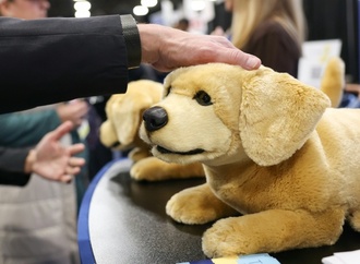Bühne für die Künstliche Intelligenz: Technikmesse CES startet in Las Vegas