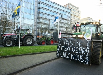 EU-Landwirtschaftsminister diskutieren über Agrarpolitik und Mercosur-Abkommen