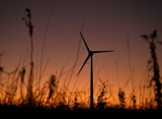 Bundesnetzagentur: Deutlicher Ausbau von Solar- und Windenergie in 2025