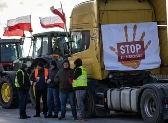 Irland will gegen Mercosur-Abkommen stimmen - dennoch Mehrheit für Handelsabkommen