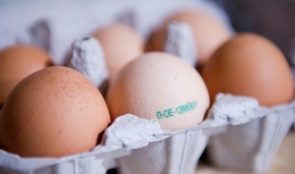 Durch Lebensmittel ausgelöste Erkrankungen: Zahl der Ausbrüche deutlich gestiegen