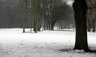 Feuerwehrverband warnt nach Wintereinbruch vor Waldspaziergängen