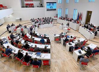 AfD-Antrag zur Auflösung des Landtags in Brandenburg gescheitert