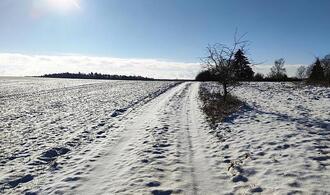 Kälteeinbruch: Verbände erwarten positive Folgen für Landwirtschaft