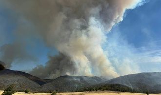 Ein Todesopfer und dutzende zerstörte Häuser durch Buschbrände in Australien