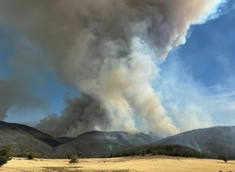 Ein Todesopfer und dutzende zerstörte Häuser durch Buschbrände in Australien