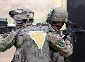 Grüne deuten mögliche Unterstützung für Bundeswehr in der Ukraine an