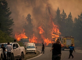 Argentinien: Waldbrände in Patagonien zerstören 15.000 Hektar Fläche