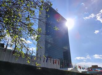 Völkerrechtler ruft UN-Sicherheitsrat zu Befassung mit Iran auf