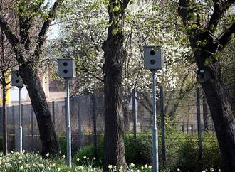 Verkehrsministerium lehnt Totalverbot für Blitzerwarnapps ab