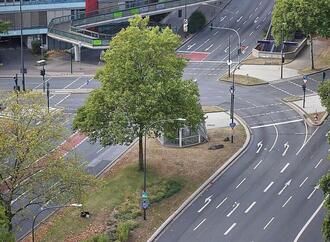Siedlungs- und Verkehrsfläche wächst wieder etwas langsamer
