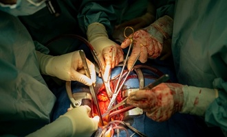 Zahl der Organspenden auf höchsten Stand seit über zehn Jahren