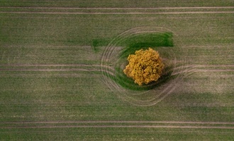 Mercosur: Agrarminister Rainer will genau auf Einhaltung von Schutzklauseln achten