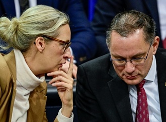 ''Wildwest-Methoden'': AfD-Spitze geht auf Distanz zu Trumps Außenpolitik