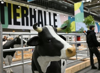 Bundespräsident Steinmeier eröffnet Landwirtschaftsmesse Grüne Woche