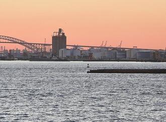 AfD kritisiert Trumps Zollpolitik