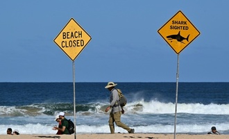 Jugendlicher in Australien bei Haiangriff lebensgefährlich verletzt
