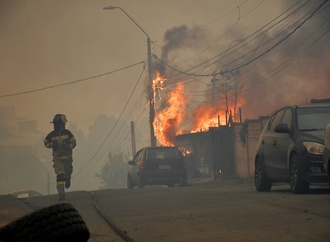 Mindestens 15 Tote bei Waldbränden in Chile - 50.000 Menschen müssen fliehen