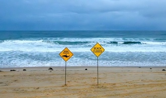 Australien: Vierter Hai-Angriff in Bundesstaat New South Wales binnen zwei Tagen