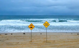 Australien: Vierter Hai-Angriff in Bundesstaat New South Wales binnen zwei Tagen