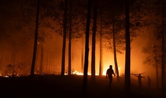 Waldbrände im Süden Chiles weiter außer Kontrolle