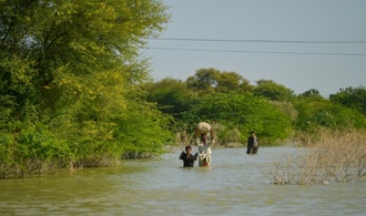 Bauern aus Pakistan reichen Klimaklage ein - RWE weist Forderung zurück