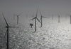 Vor Nordsee-Gipfel: Umweltverbände fordern ''naturverträglichen'' Offshore-Ausbau