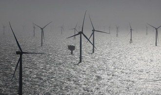 Vor Nordsee-Gipfel: Umweltverbände fordern ''naturverträglichen'' Offshore-Ausbau