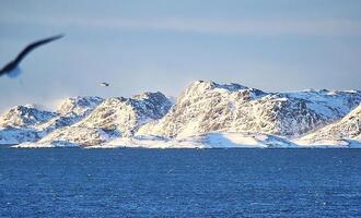 Grönland: Dobrindt will Partnerschaft mit USA nicht anzweifeln