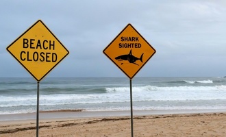 Zwölfjähriger sechs Tage nach Hai-Attacke an Verletzungen gestorben