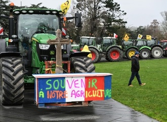 Nach Mercosur-Abstimmung: Grüne bieten Votum für schnelle Ratifizierung an