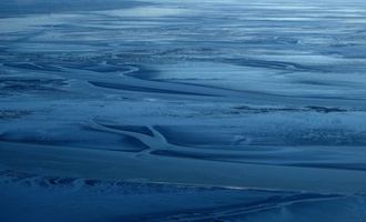 Weniger als einen Millimeter groß: Fünf neue Krebsarten in der Nordsee entdeckt