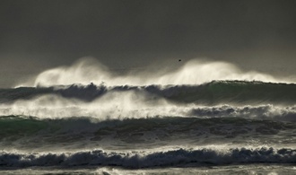 Autotransporter gerät vor Borkum in Brand