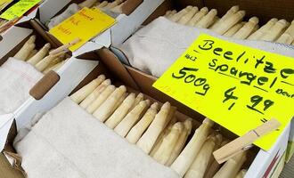 CDU pocht auf Mindestlohn-Ausnahmen für Saisonarbeiter