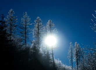 Bundesverwaltungsgericht: Regierung muss Klimaschutzprogramm nachbessern