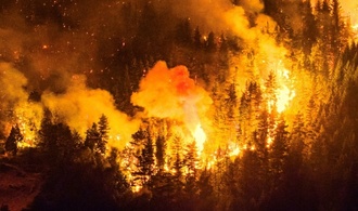 Riesige Waldbrände in Patagonien - Argentinien ruft Notstand aus