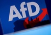 Regierung sieht bei AfD-Jugend Kontinuität zu rechtsextremistischer Vorgängerin