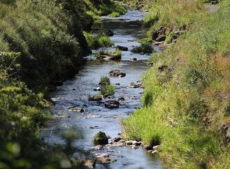 Umweltministerium startet Renaturierungsprogramm für Flussauen