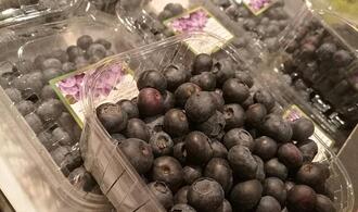 Strauchbeerenernte 2025 um gut 23 Prozent gestiegen