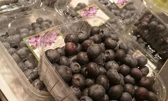 Strauchbeerenernte 2025 um gut 23 Prozent gestiegen