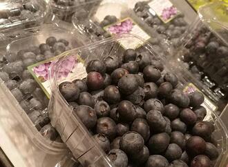 Strauchbeerenernte 2025 um gut 23 Prozent gestiegen