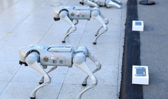 Roboter-Hunde unterstützen mexikanische Polizei bei Fußballweltmeisterschaft
