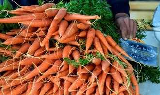 Umsatz mit Bio-Lebensmitteln auf Rekordhoch - Nachfrage höher als heimisches Angebot
