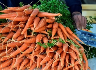 Umsatz mit Bio-Lebensmitteln auf Rekordhoch - Nachfrage höher als heimisches Angebot