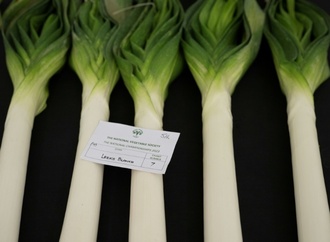 Kauft Lauch: Französische Supermärkte unterstützen Gemüsebauern