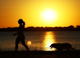 Haustiere dürfen in Brasilien mit Herrchen und Frauchen beigesetzt werden